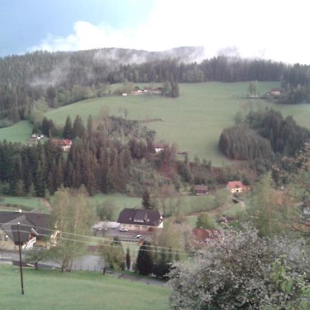 Haus Koenigshofer Appartement Sankt Kathrein am Hauenstein Buitenkant foto