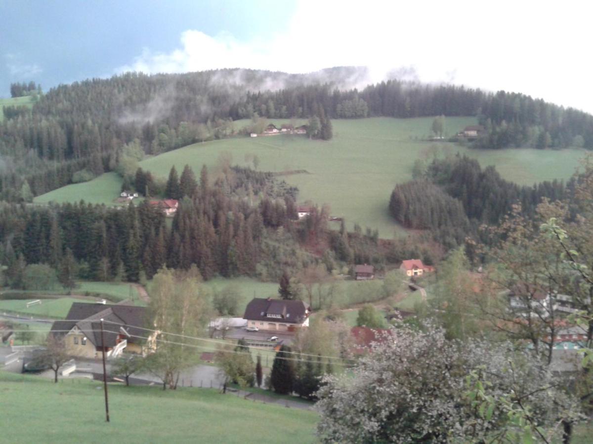Haus Koenigshofer Appartement Sankt Kathrein am Hauenstein Buitenkant foto
