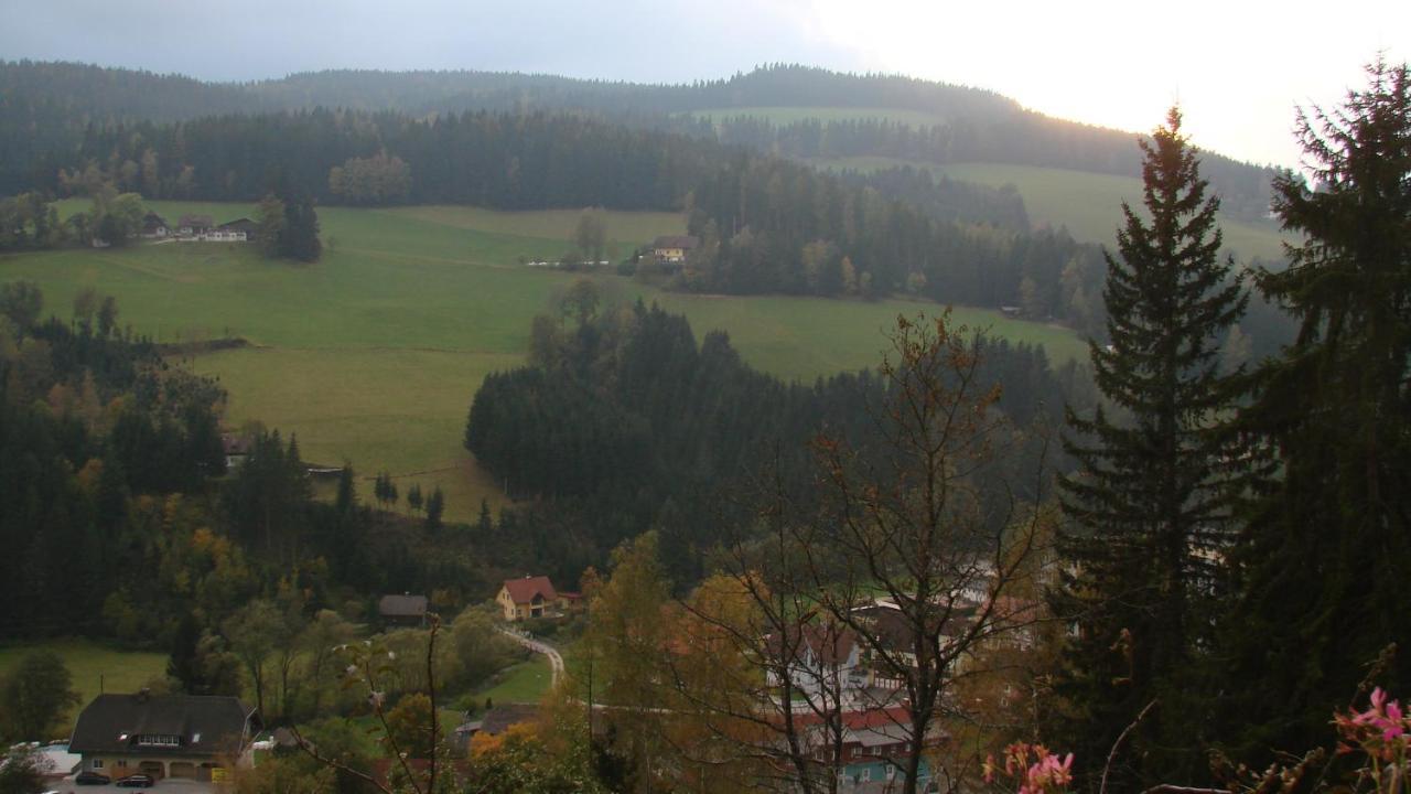 Haus Koenigshofer Appartement Sankt Kathrein am Hauenstein Buitenkant foto